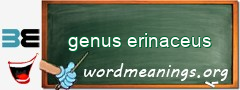 WordMeaning blackboard for genus erinaceus
